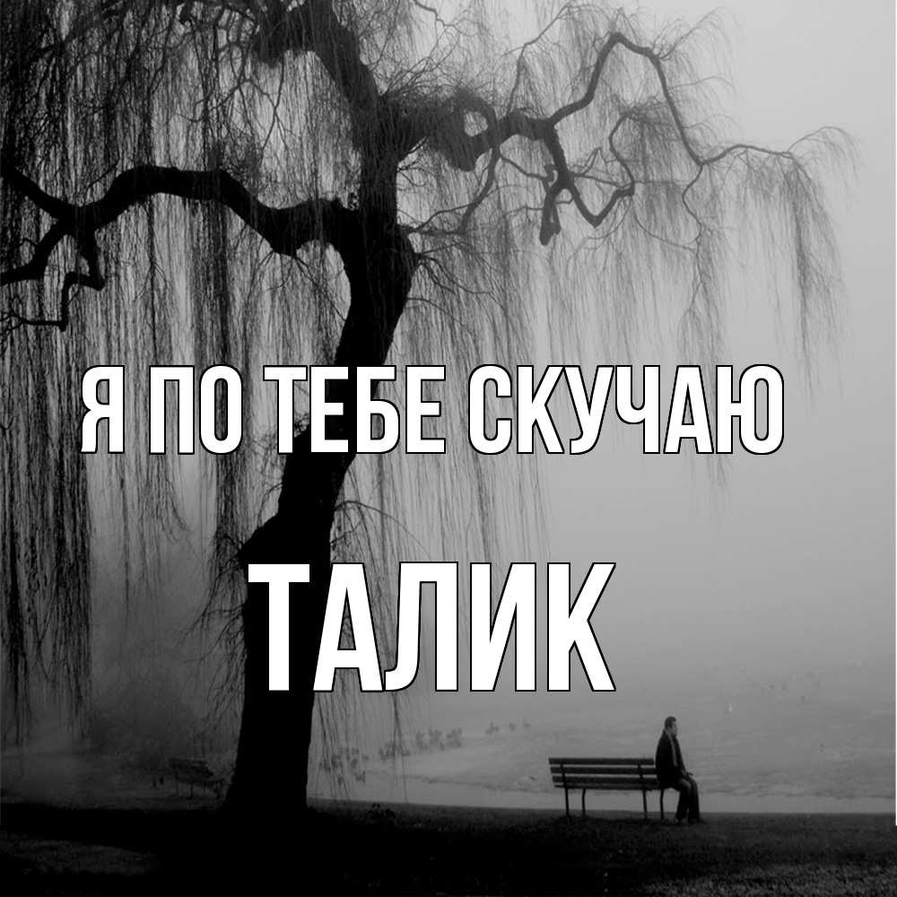 Открытка на каждый день с именем, Талик Я по тебе скучаю лавочка под деревом я жду тебя Прикольная открытка с пожеланием онлайн скачать бесплатно 