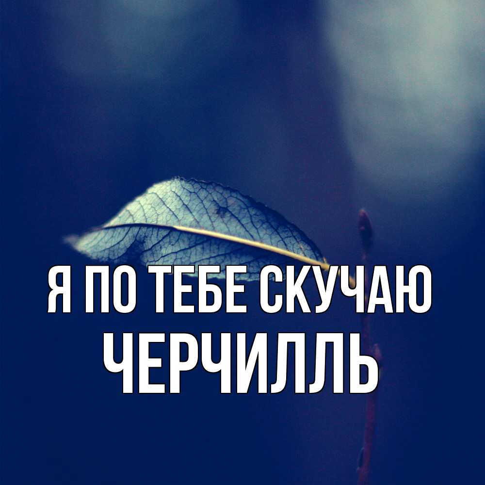 Открытка на каждый день с именем, Черчилль Я по тебе скучаю одна ветка 1 Прикольная открытка с пожеланием онлайн скачать бесплатно 