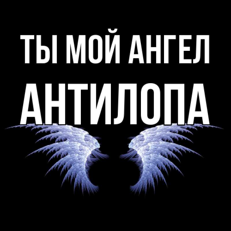 Картинка Ты мой ангел, антилопа