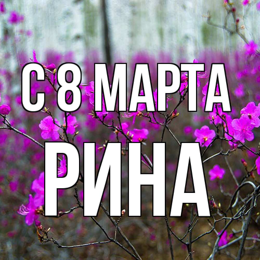 Открытка на каждый день с именем, Рина C 8 МАРТА дикие цветы Прикольная открытка с пожеланием онлайн скачать бесплатно 