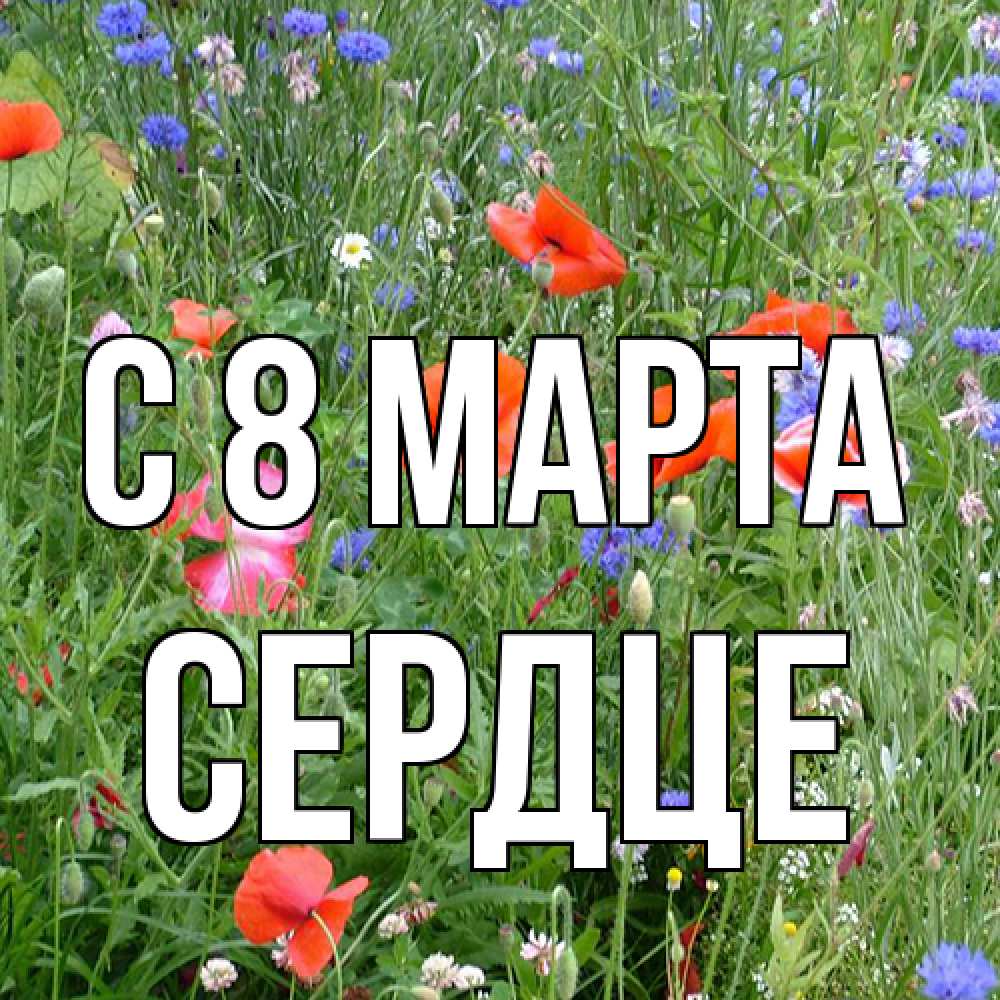 Открытка на каждый день с именем, сердце C 8 МАРТА международный женский день 4 Прикольная открытка с пожеланием онлайн скачать бесплатно 