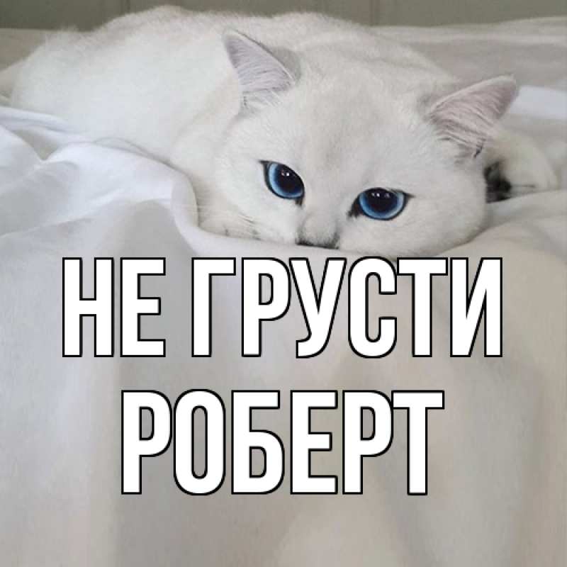 Картинка Не грусти, Роберт