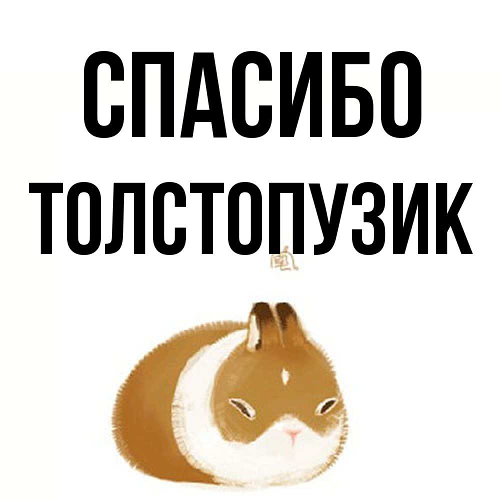 Открытка на каждый день с именем, Толстопузик Спасибо коричнево белый домашний питомец Прикольная открытка с пожеланием онлайн скачать бесплатно 