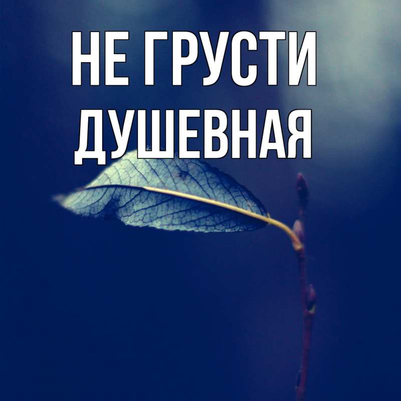 Картинка Не грусти, Душевная