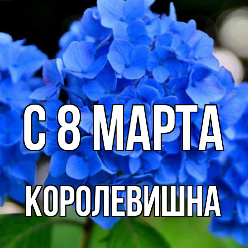 Картинка C 8 МАРТА, Королевишна