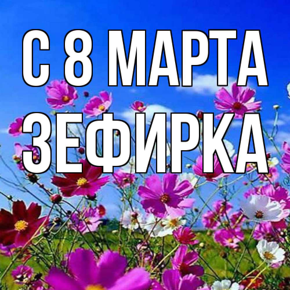 Открытка на каждый день с именем, зефирка C 8 МАРТА цветы Прикольная открытка с пожеланием онлайн скачать бесплатно 