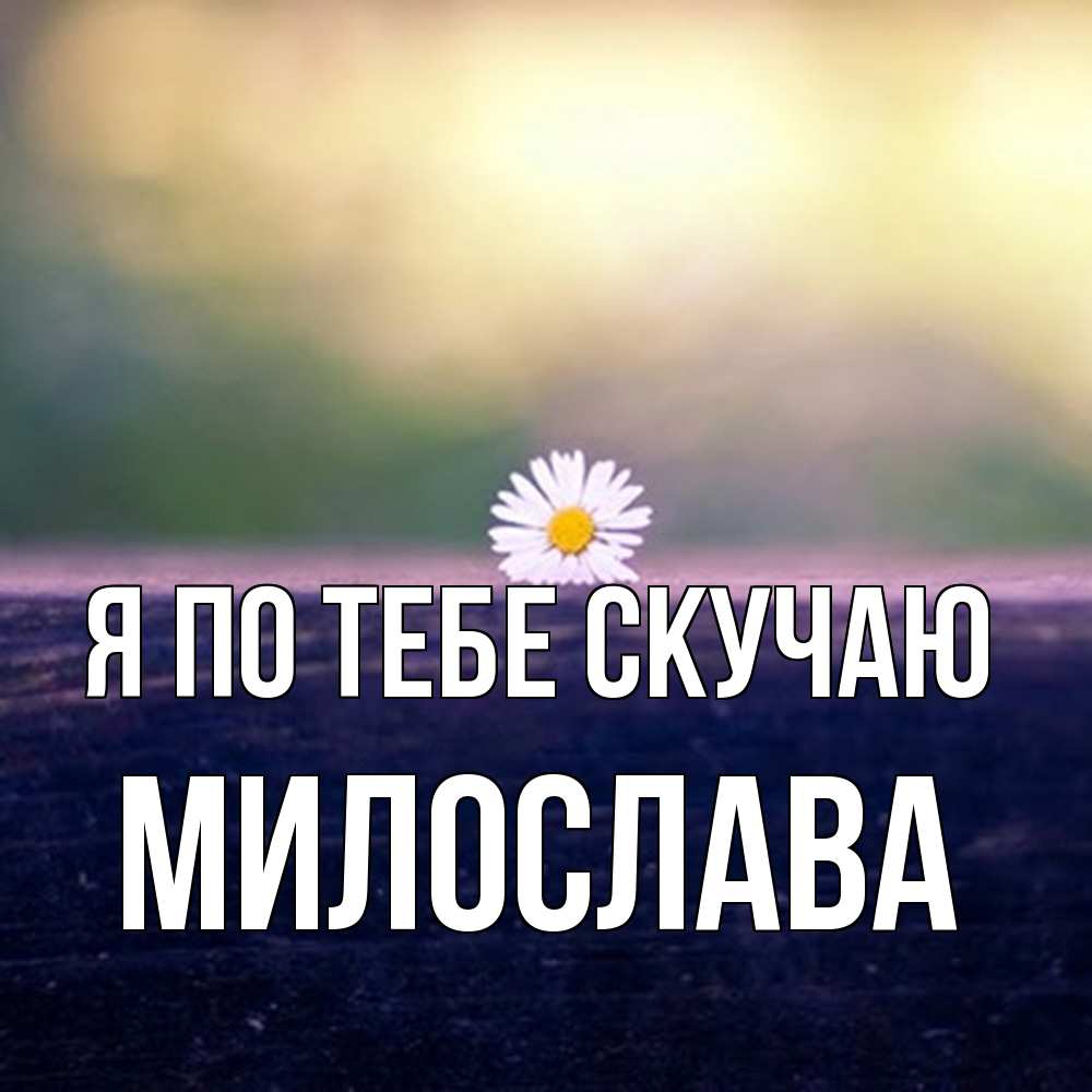 Открытка на каждый день с именем, Милослава Я по тебе скучаю приходи в гости Прикольная открытка с пожеланием онлайн скачать бесплатно 