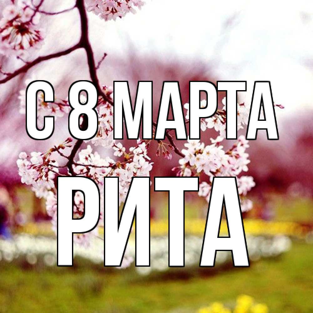 Открытка на каждый день с именем, Рита C 8 МАРТА яблоня Прикольная открытка с пожеланием онлайн скачать бесплатно 
