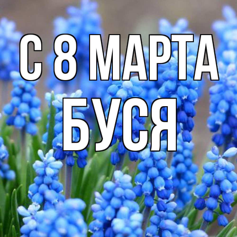 Открытка на каждый день с именем, Буся C 8 МАРТА Поздравительная открытка для женщин с цветами на праздничную дату Прикольная открытка с пожеланием онлайн скачать бесплатно 