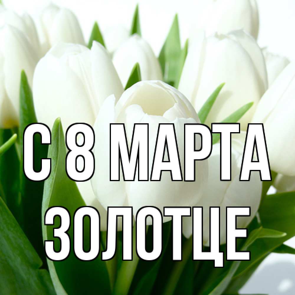 Открытка на каждый день с именем, Золотце C 8 МАРТА цветы Прикольная открытка с пожеланием онлайн скачать бесплатно 