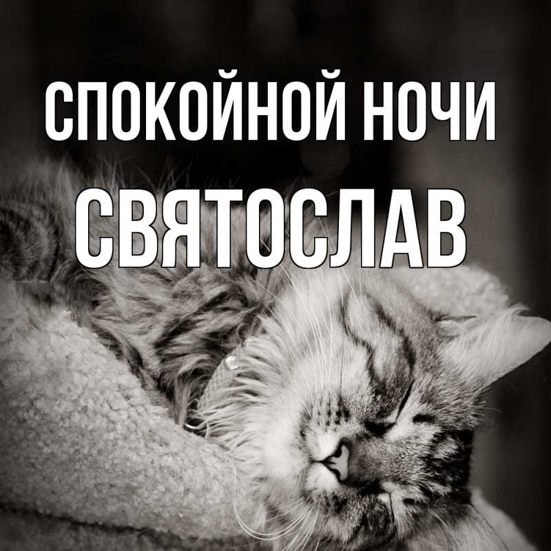 Картинка Спокойной ночи, Святослав
