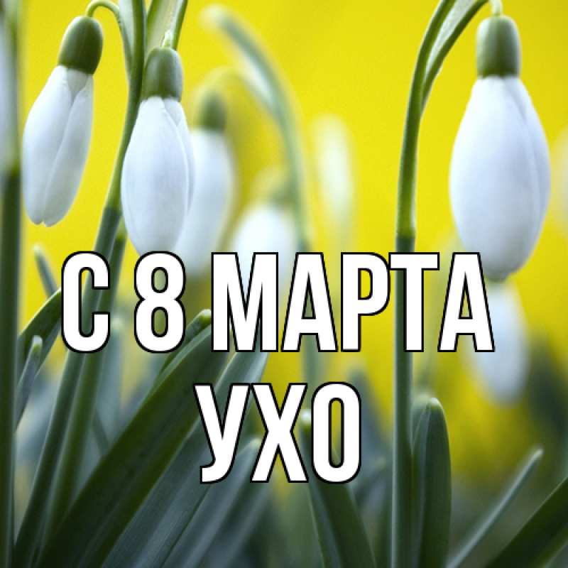 Картинка C 8 МАРТА, Ухо