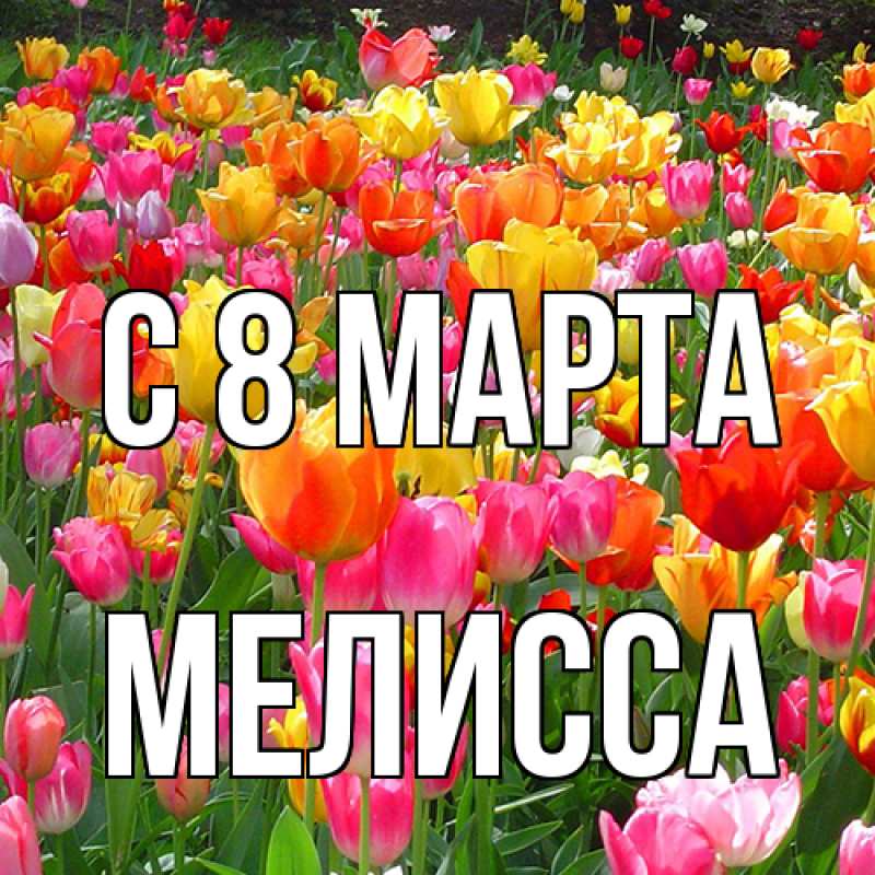 Картинка C 8 МАРТА, Мелисса