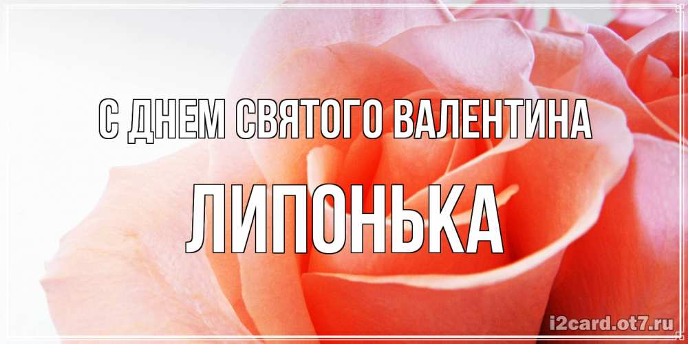 Открытка на каждый день с именем, Липонька С днем Святого Валентина открытка на день Святого Валентина с розовой розой Прикольная открытка с пожеланием онлайн скачать бесплатно 