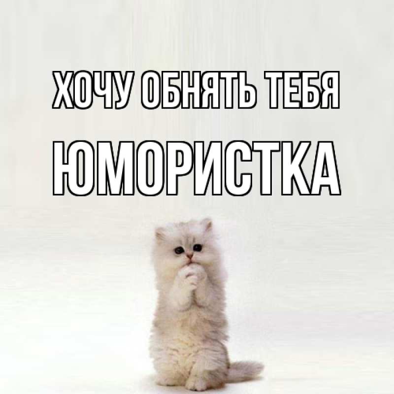 Картинка Хочу обнять тебя, Юмористка