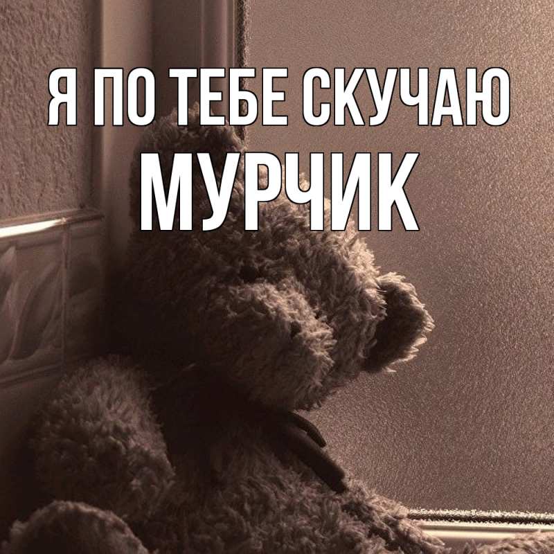 Картинка Я по тебе скучаю, Мурчик