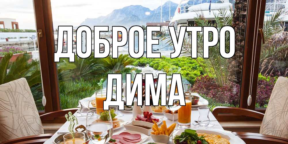 Открытка на каждый день с именем, Дима Доброе утро тропическое утро Прикольная открытка с пожеланием онлайн скачать бесплатно 