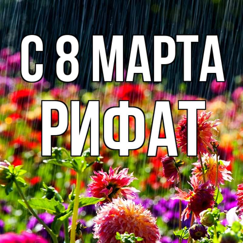 Картинка C 8 МАРТА, Рифат