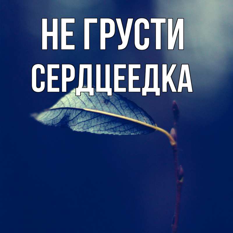 Картинка Не грусти, сердцеедка