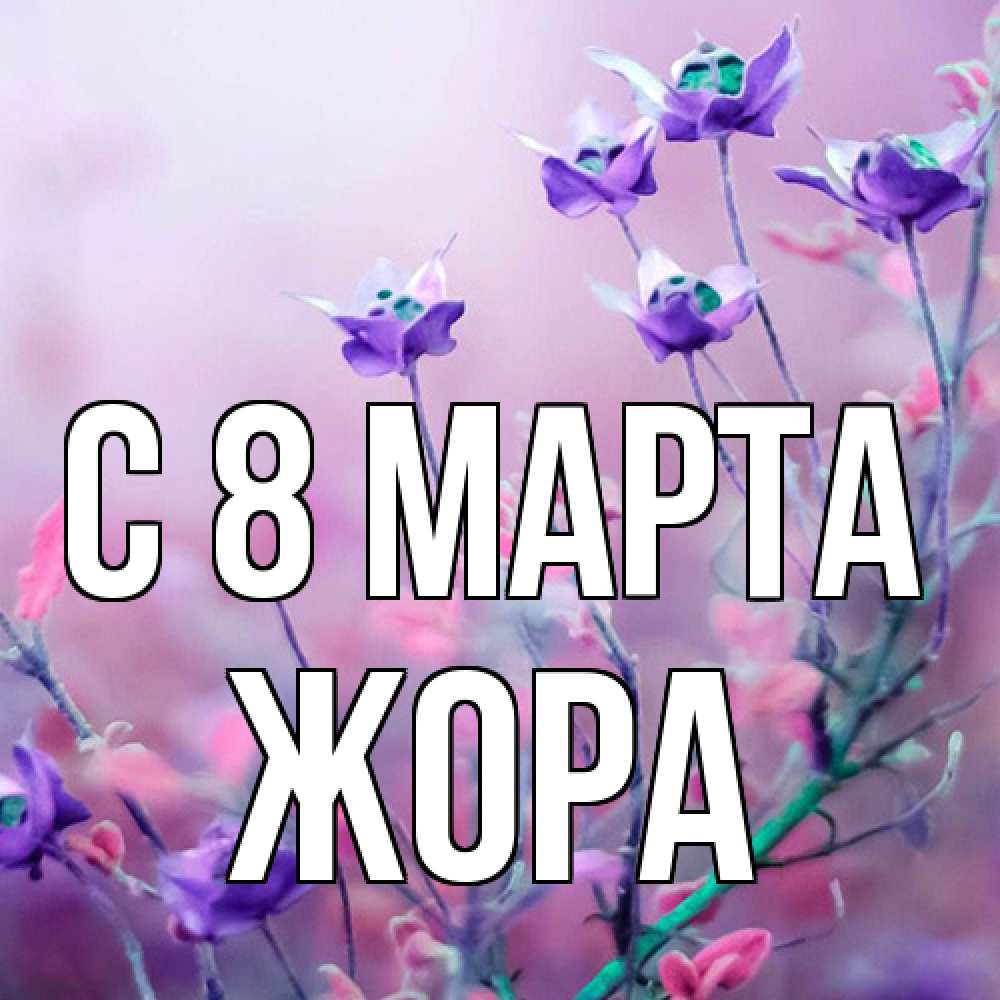 Открытка на каждый день с именем, Жора C 8 МАРТА международный женский день 2 Прикольная открытка с пожеланием онлайн скачать бесплатно 
