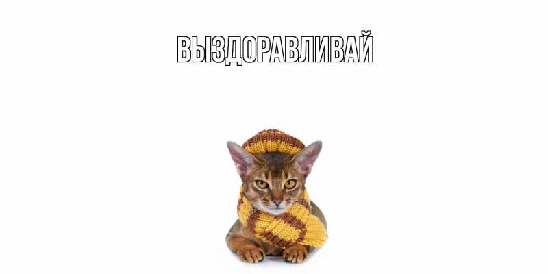 Картинка Выздоравливай, открытка бесплатно