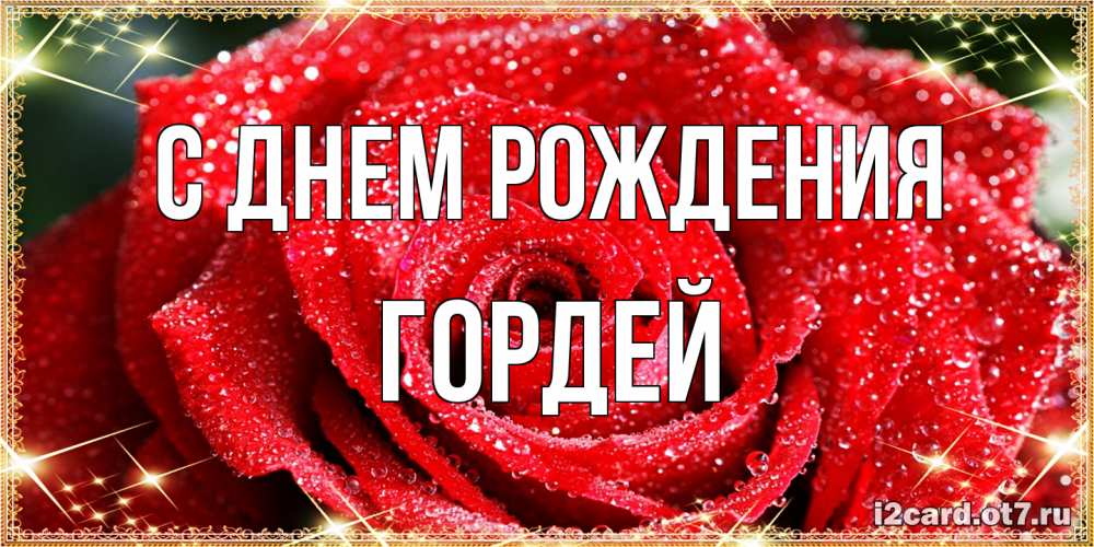 Открытка на каждый день с именем, Гордей С днем рождения роса и роза. открытка с красивой розой Прикольная открытка с пожеланием онлайн скачать бесплатно 