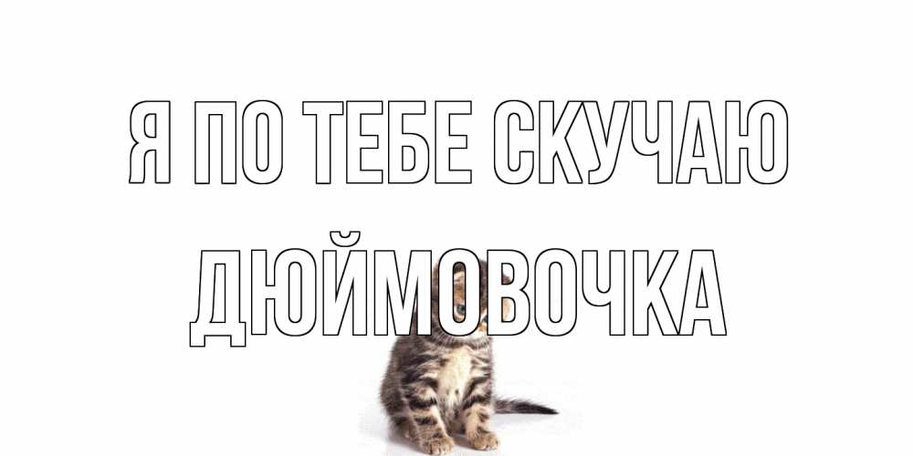 Открытка на каждый день с именем, Дюймовочка Я по тебе скучаю кот Прикольная открытка с пожеланием онлайн скачать бесплатно 