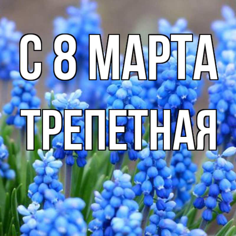 Картинка C 8 МАРТА, Тpепетная