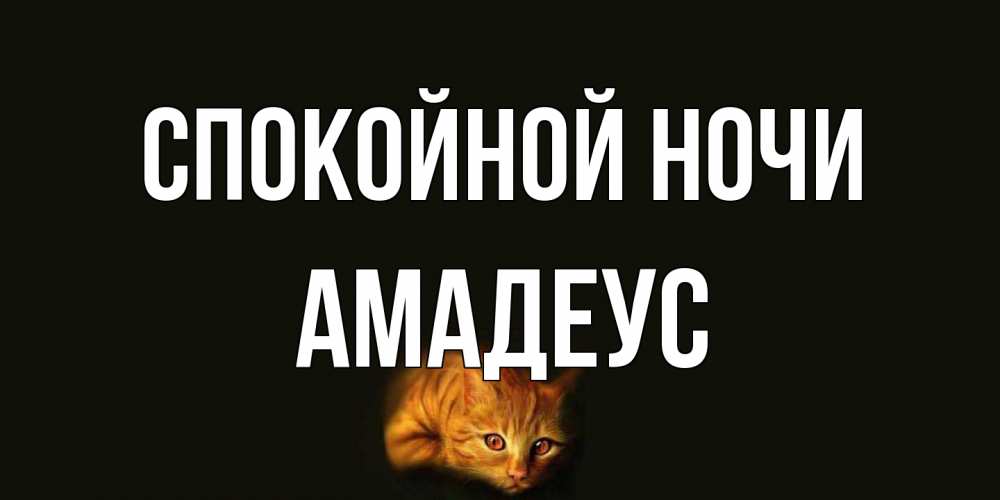 Открытка на каждый день с именем, Амадеус Спокойной ночи кот Прикольная открытка с пожеланием онлайн скачать бесплатно 