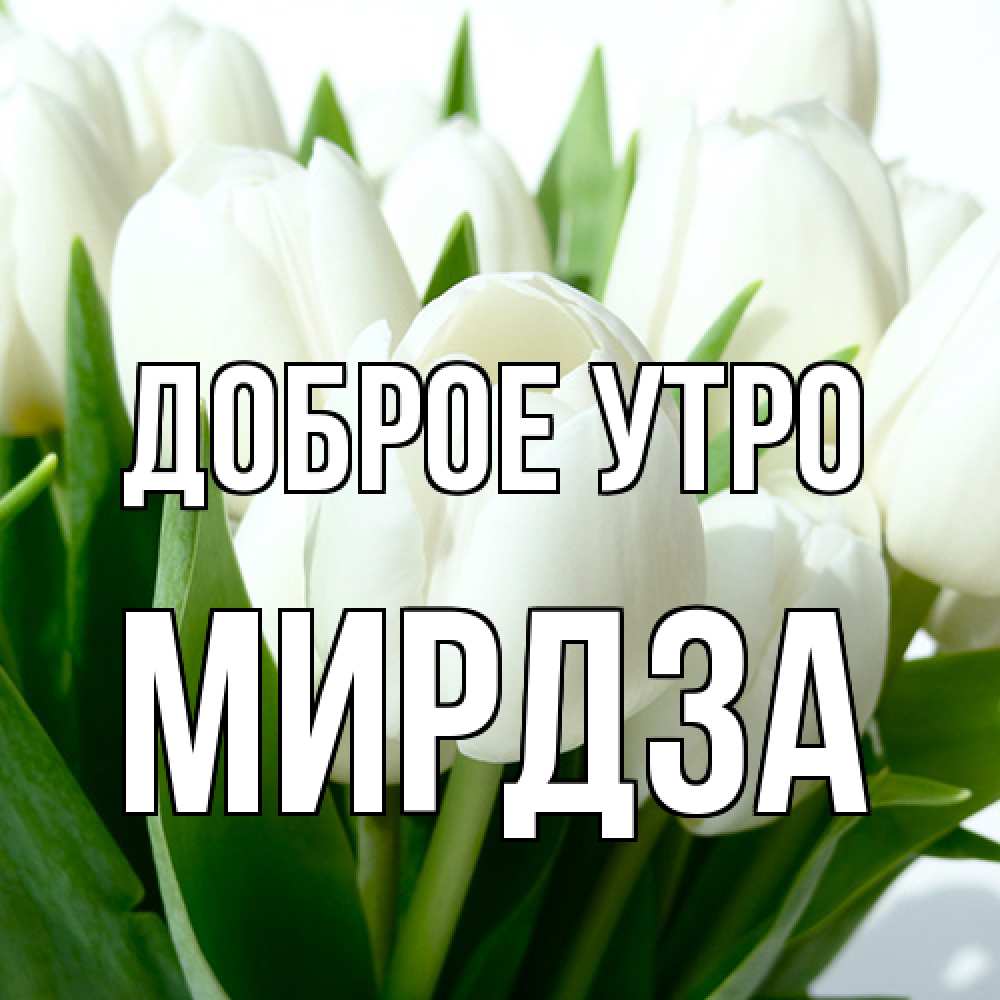 Открытка на каждый день с именем, Мирдза Доброе утро открытки на каждый день по именам Прикольная открытка с пожеланием онлайн скачать бесплатно 
