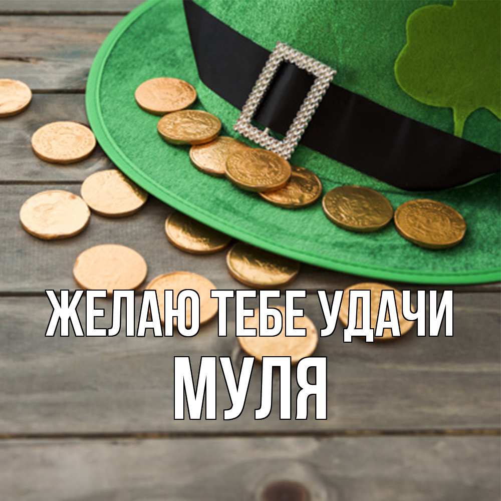 Открытка на каждый день с именем, Муля Желаю тебе удачи монеты Прикольная открытка с пожеланием онлайн скачать бесплатно 