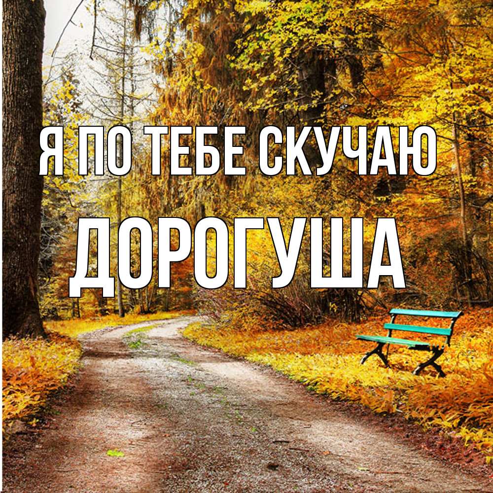 Открытка на каждый день с именем, дорогуша Я по тебе скучаю зеленая лавочка и осенний лес Прикольная открытка с пожеланием онлайн скачать бесплатно 