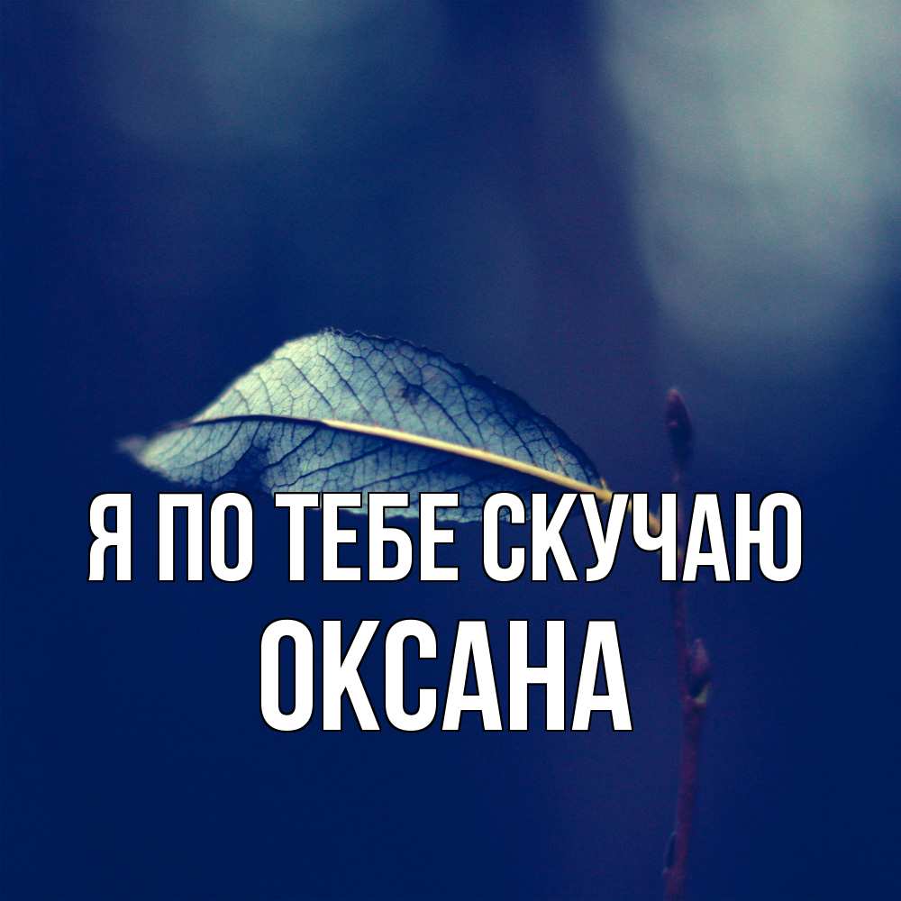 Открытка на каждый день с именем, оксана Я по тебе скучаю одна ветка 1 Прикольная открытка с пожеланием онлайн скачать бесплатно 