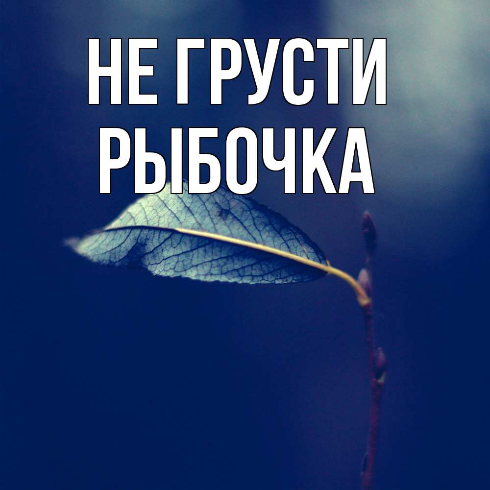 Открытка на каждый день с именем, рыбочка Не грусти растение Прикольная открытка с пожеланием онлайн скачать бесплатно 