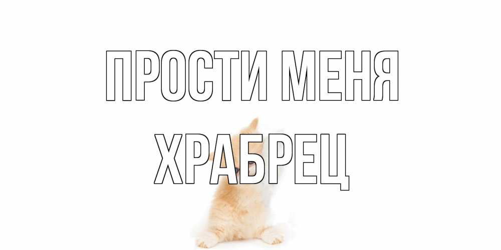 Открытка на каждый день с именем, Храбрец Прости меня кот Прикольная открытка с пожеланием онлайн скачать бесплатно 