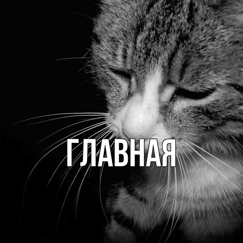 Картинка  с именем , настя