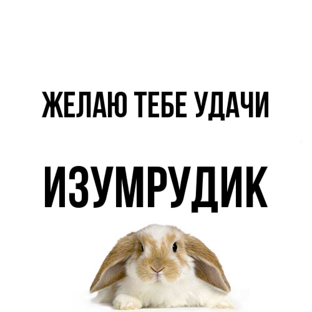 Открытка на каждый день с именем, изумрудик Желаю тебе удачи открытки с произвольным текстом который можно вставить в открытку и создать ее самостоятельно бесплатно онлайн Прикольная открытка с пожеланием онлайн скачать бесплатно 