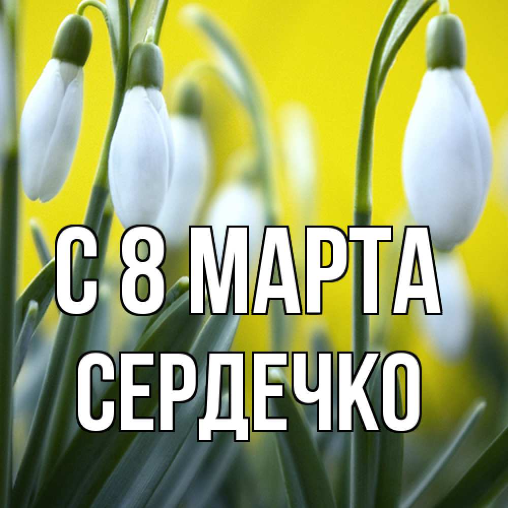 Открытка на каждый день с именем, сердечко C 8 МАРТА весенние цветы Прикольная открытка с пожеланием онлайн скачать бесплатно 