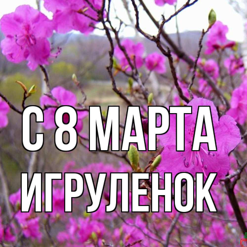 Открытка на каждый день с именем, Игpуленок C 8 МАРТА международный женский день Прикольная открытка с пожеланием онлайн скачать бесплатно 