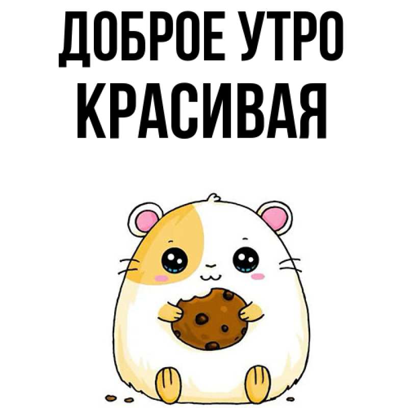 Картинка Доброе утро, Красивая