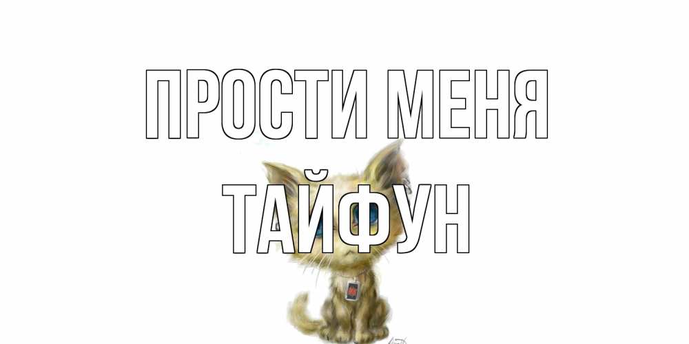 Открытка на каждый день с именем, Тайфун Прости меня прости меня открытка с котиком Прикольная открытка с пожеланием онлайн скачать бесплатно 
