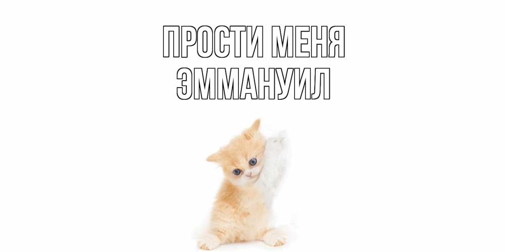 Открытка на каждый день с именем, Эммануил Прости меня кот Прикольная открытка с пожеланием онлайн скачать бесплатно 