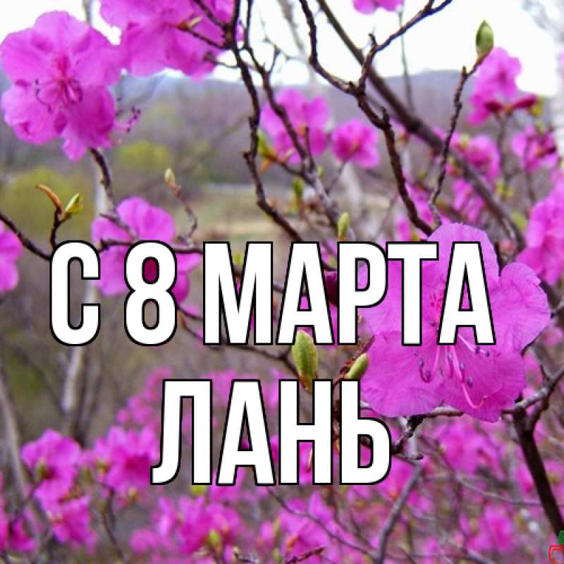Картинка C 8 МАРТА, лань