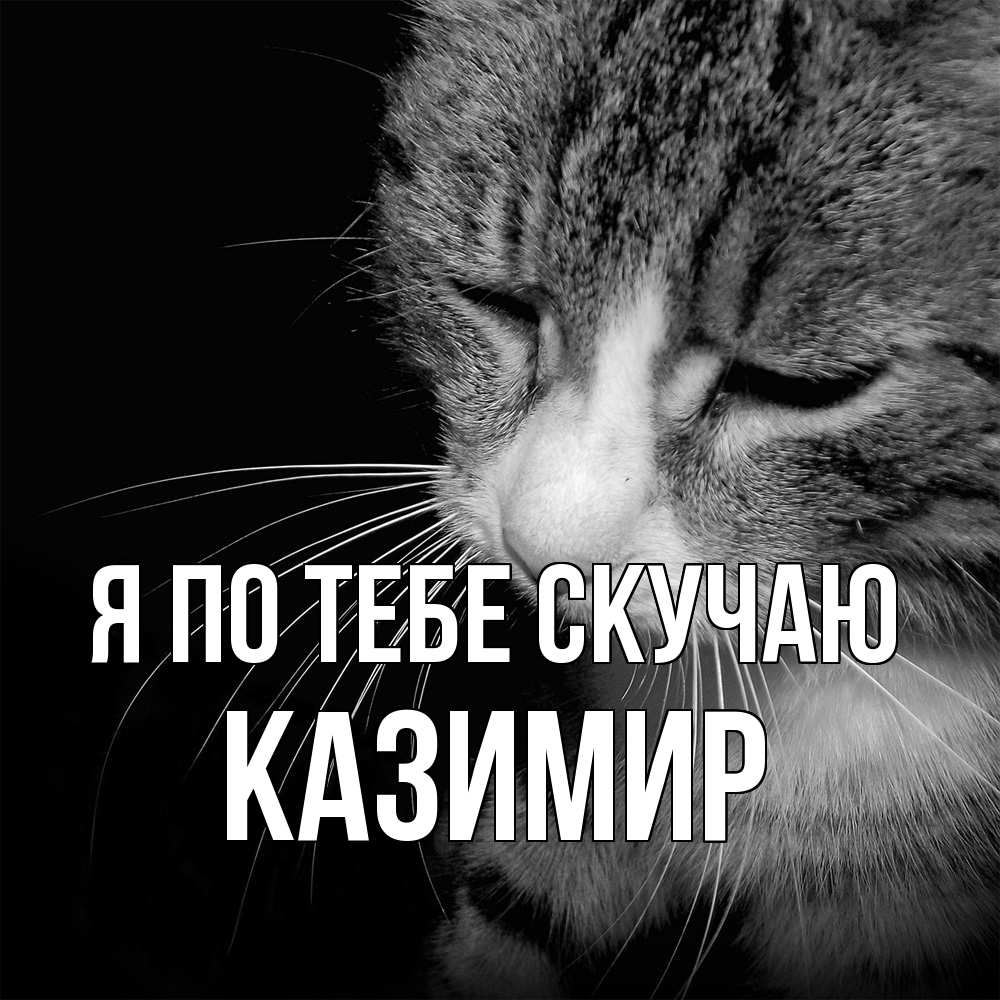 Открытка на каждый день с именем, Казимир Я по тебе скучаю мне скучно Прикольная открытка с пожеланием онлайн скачать бесплатно 
