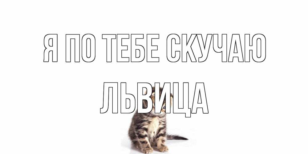 Открытка на каждый день с именем, Львица Я по тебе скучаю кот Прикольная открытка с пожеланием онлайн скачать бесплатно 
