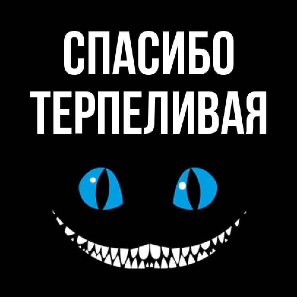 Открытка на каждый день с именем, терпеливая Спасибо благодарю от чеширика Прикольная открытка с пожеланием онлайн скачать бесплатно 