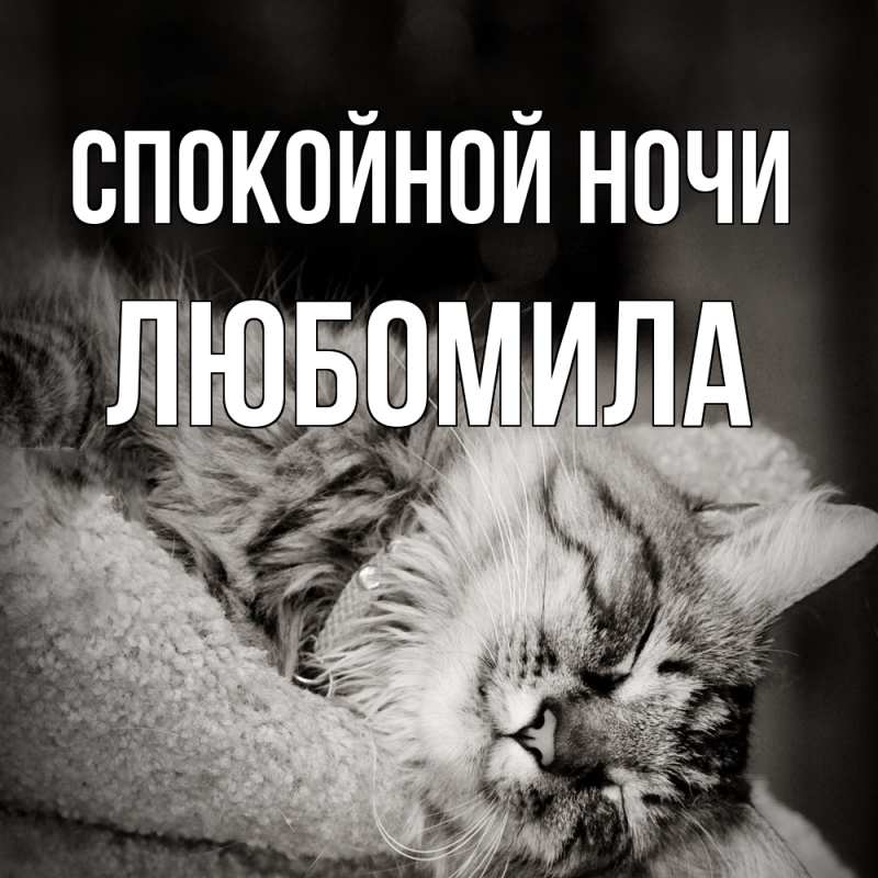 Картинка Спокойной ночи, Любомила
