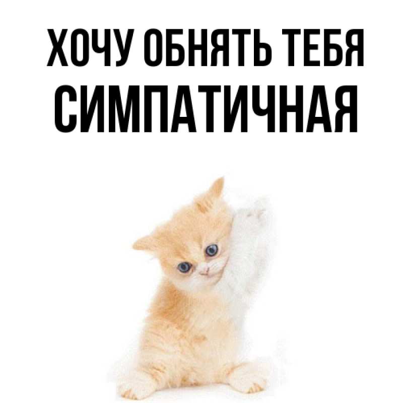 Картинка Хочу обнять тебя, симпатичная