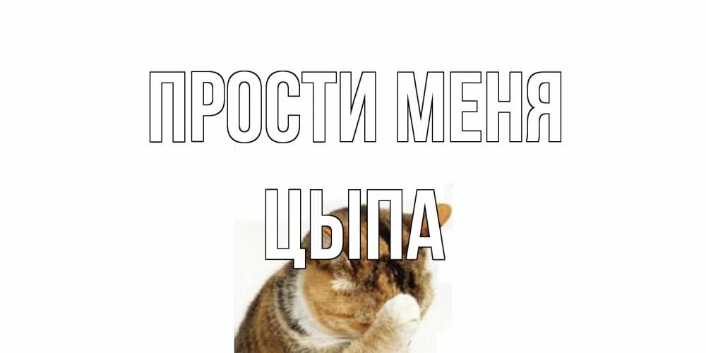 Открытка на каждый день с именем, Цыпа Прости меня кот Прикольная открытка с пожеланием онлайн скачать бесплатно 