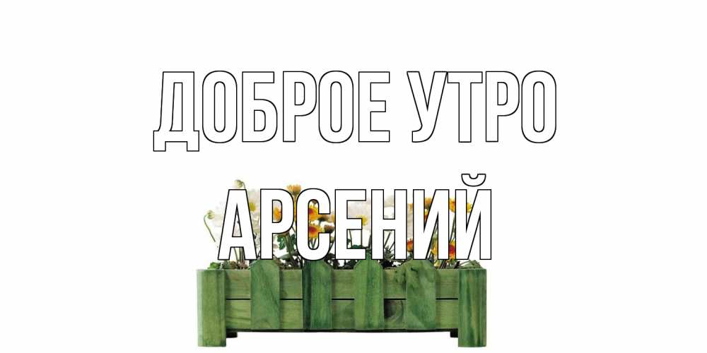 Открытка на каждый день с именем, Арсений Доброе утро цветы Прикольная открытка с пожеланием онлайн скачать бесплатно 